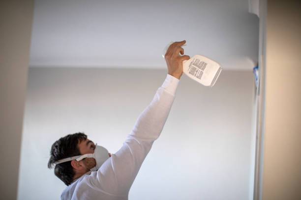 Best Office Mold Removal Services  in North Sarasota, FL
