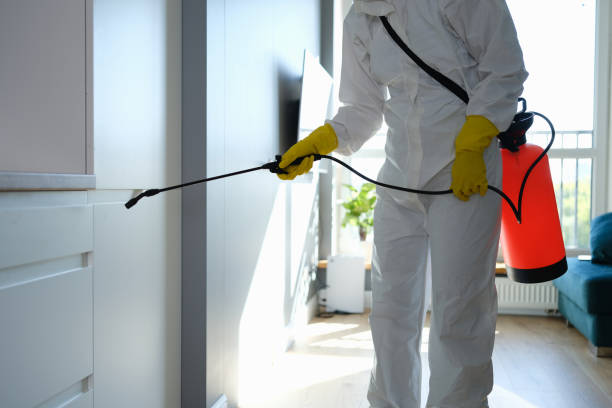 Professional Mold Removal in North Sarasota, FL