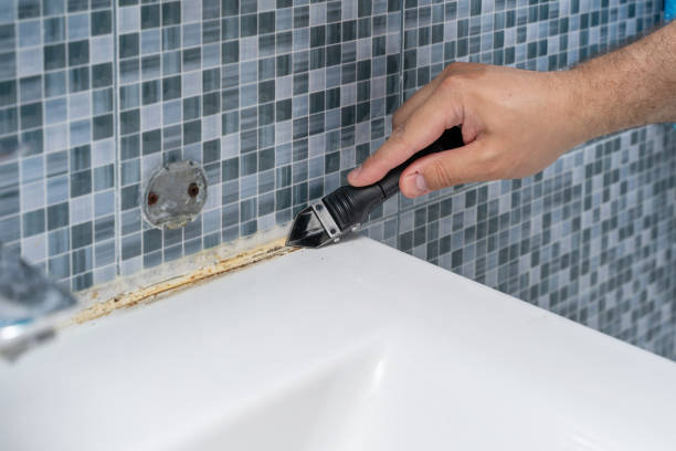 Best Black Mold Removal  in North Sarasota, FL